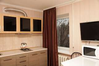 Апартаменты Apartment na Kirova 94 Днепр Апартаменты с 1 спальней-1