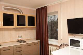 Апартаменты Apartment na Kirova 94 Днепр Апартаменты с 1 спальней-13