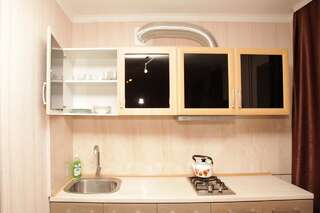 Апартаменты Apartment na Kirova 94 Днепр Апартаменты с 1 спальней-8