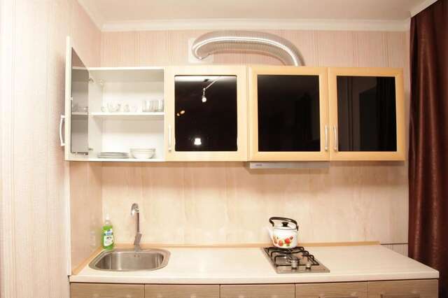 Апартаменты Apartment na Kirova 94 Днепр-22